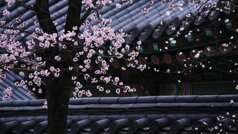 in a scent韩漫 竖屏条漫怎么读才不亏:从 in a scent韩